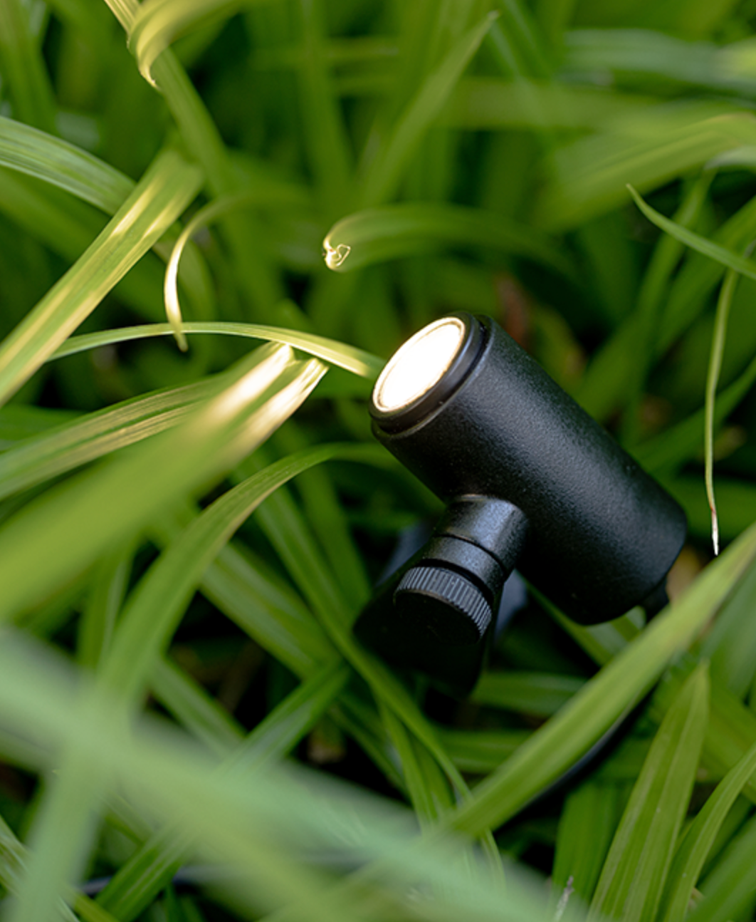 MICRO SCOPE